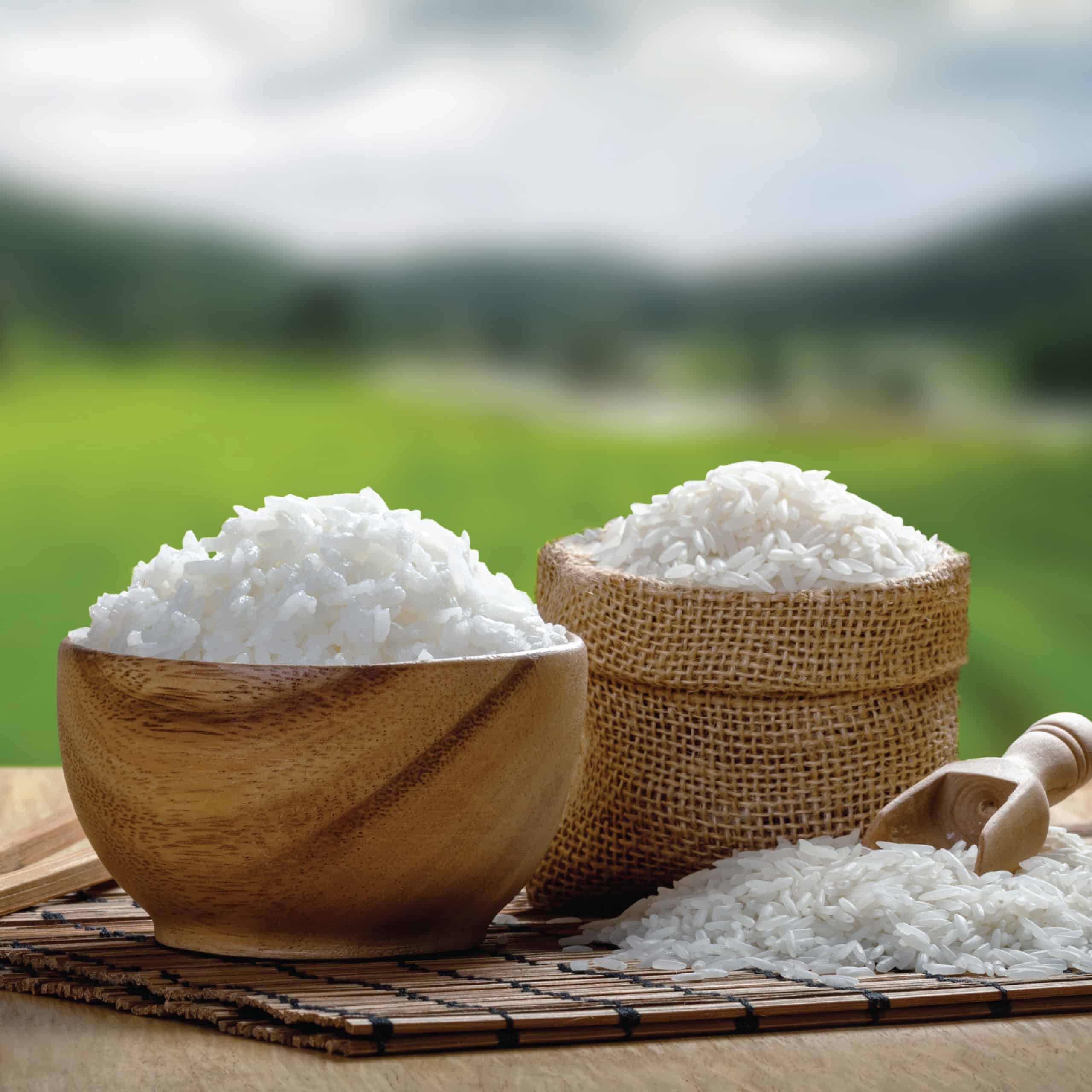 Curated collection Image